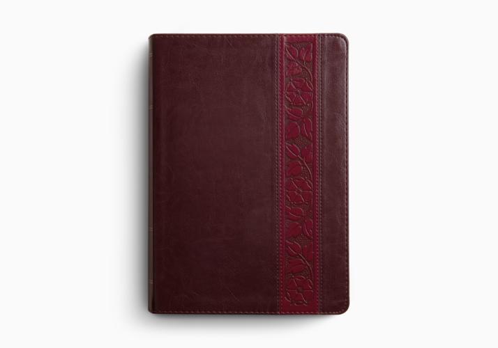 ESV Study Bible, Large Print, Thumb Indexed