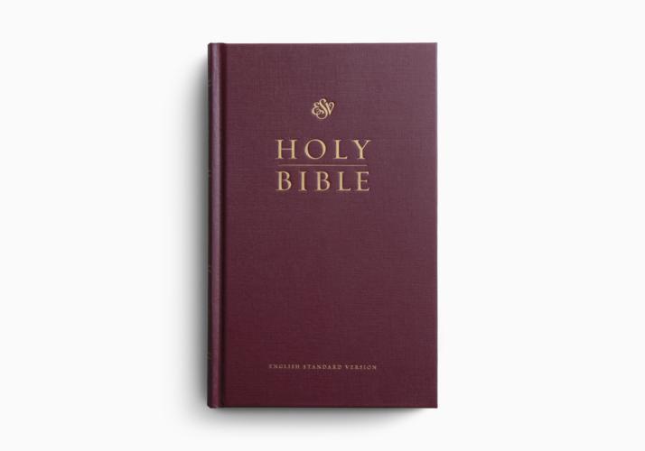 ESV Church Bible, Large Print