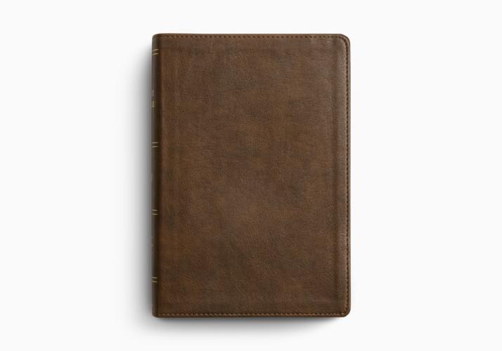 ESV Holy Bible