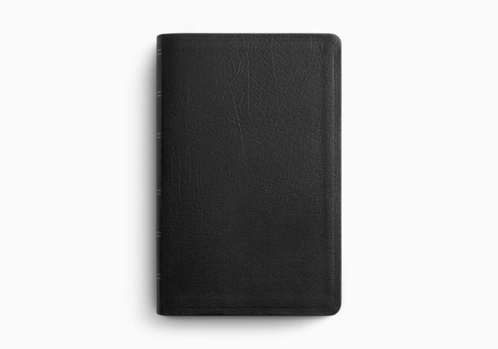 ESV Large Print Personal Size Bible, Red Letter