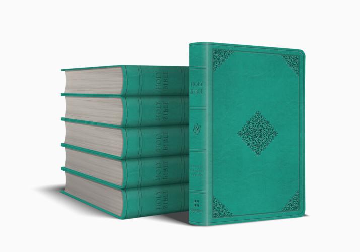 ESV Value Large Print Compact Bible