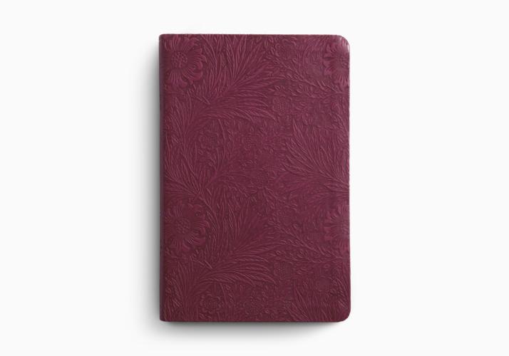 ESV Value Thinline Bible