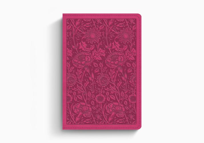 ESV Large Print Compact Bible, Red Letter