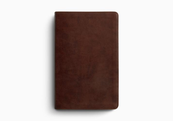 ESV Large Print Personal Size Bible, Red Letter