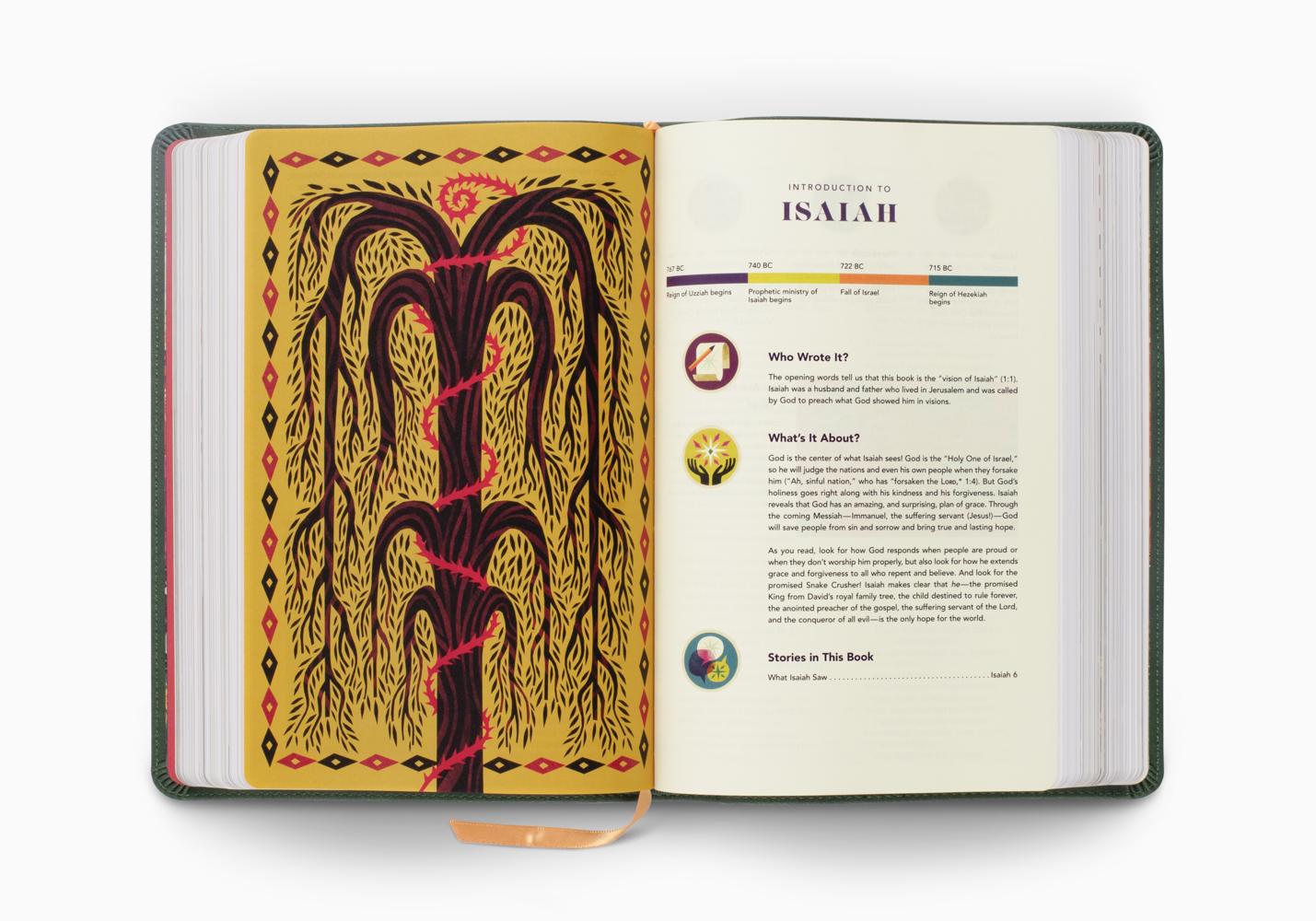 ESV The Biggest Story Holy Bible for Kids