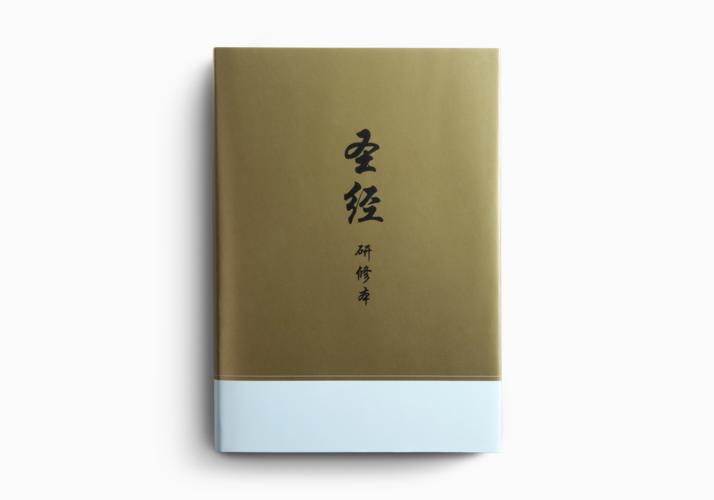 Chinese Study Bible
