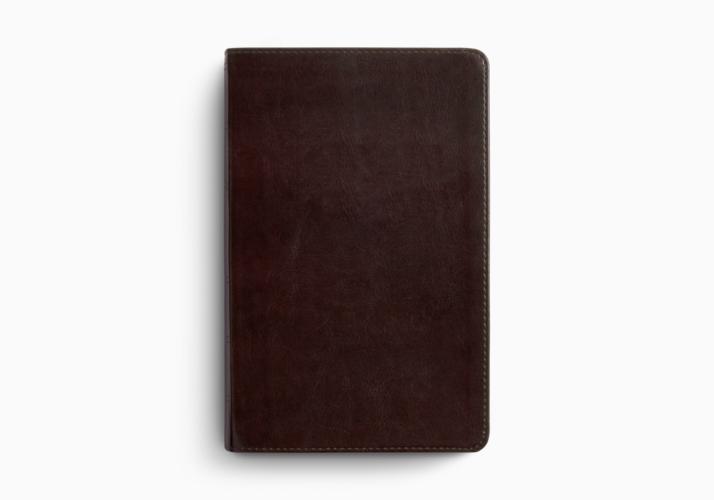 ESV Large Print Personal Size Bible, Red Letter