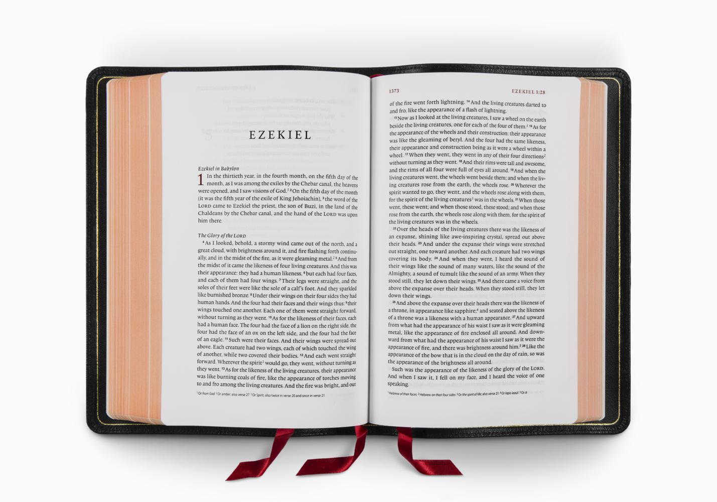 ESV Heirloom Bible, Veritas: Single Column Edition