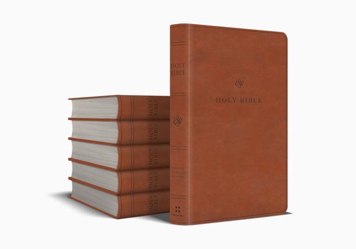 ESV Value Thinline Bible