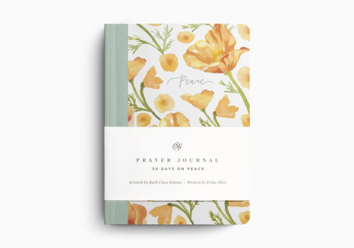 ESV Prayer Journal