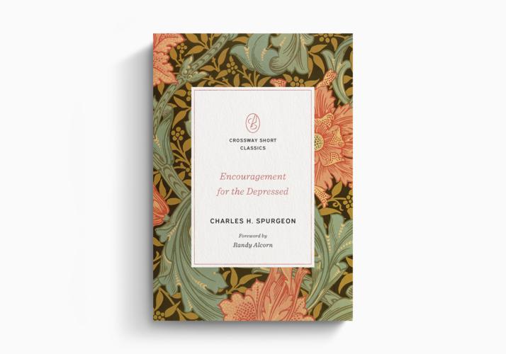 Encouragement for the Depressed