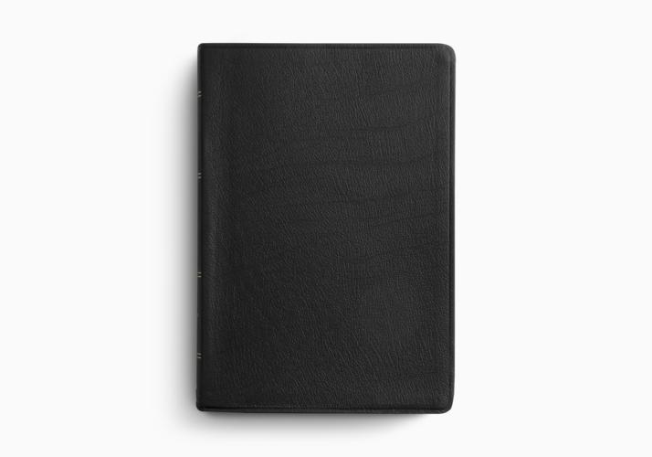 ESV Large Print Wide Margin Bible