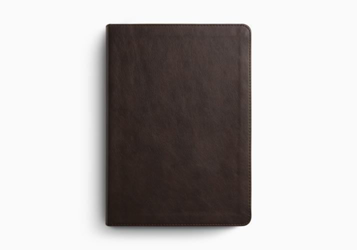 ESV Single Column Journaling Bible&reg;, Large Print