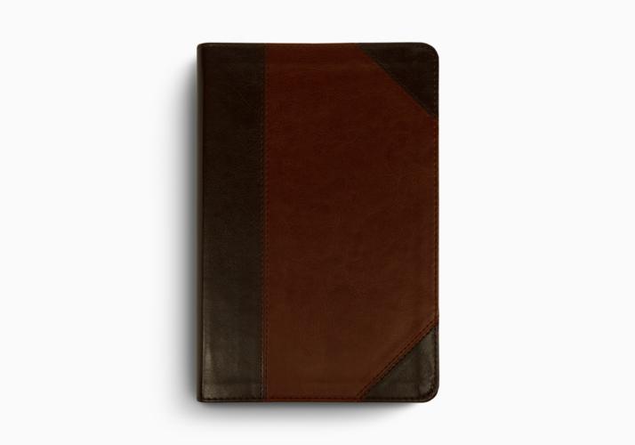 ESV Student Study Bible&reg;