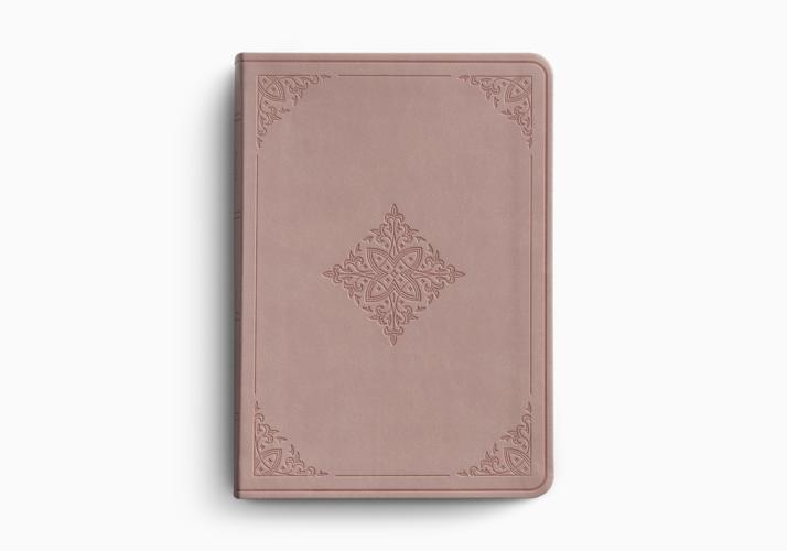 ESV Value Large Print Compact Bible