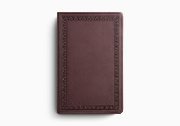 ESV Large Print Value Thinline Bible