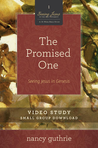 The Promised One Video Study
