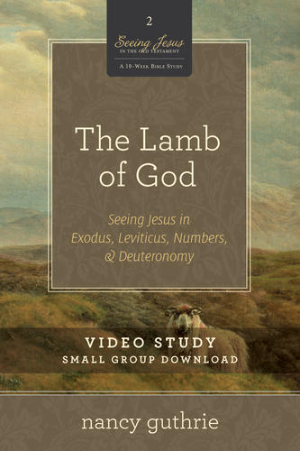 The Lamb of God Video Study