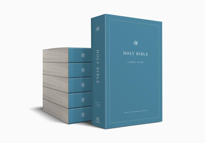 ESV Economy Bible, Large Print