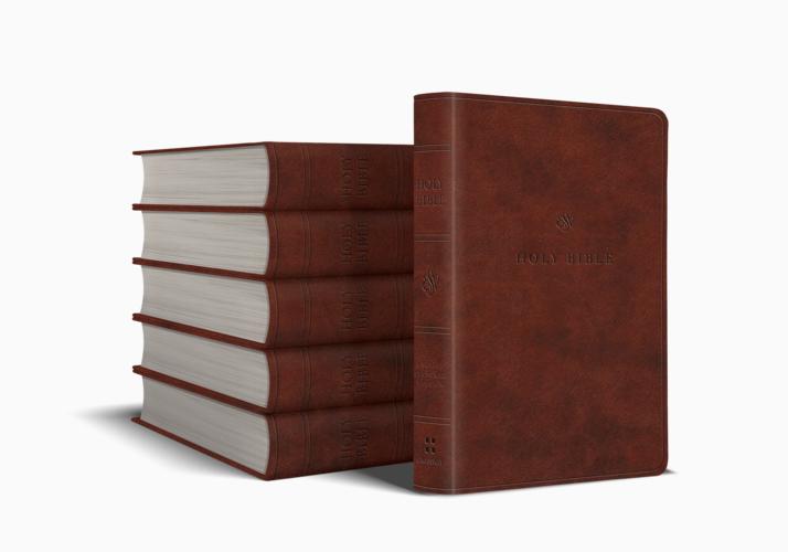 ESV Value Large Print Compact Bible