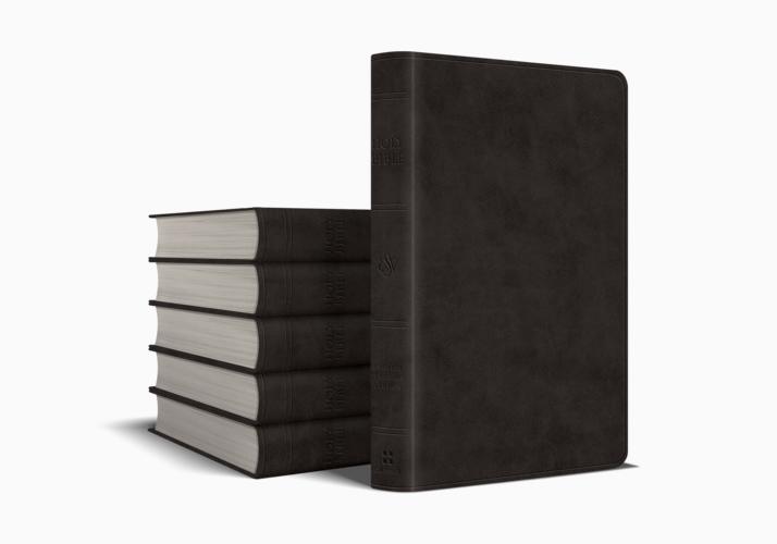 ESV Value Thinline Bible
