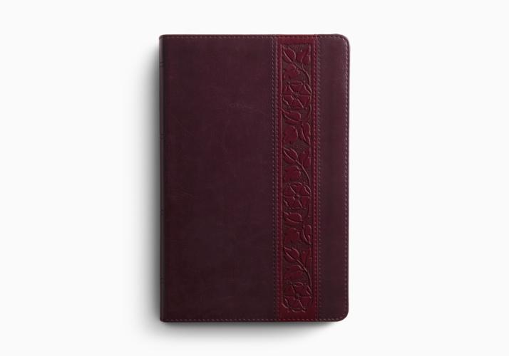 ESV Large Print Personal Size Bible, Red Letter