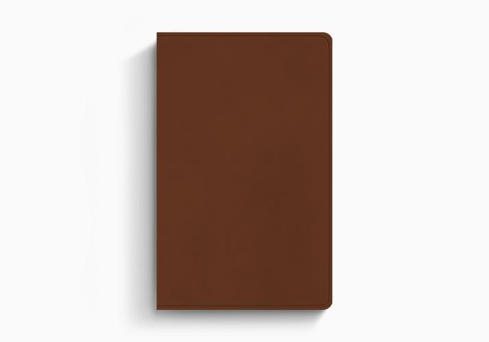 ESV Large Print Value Thinline Bible