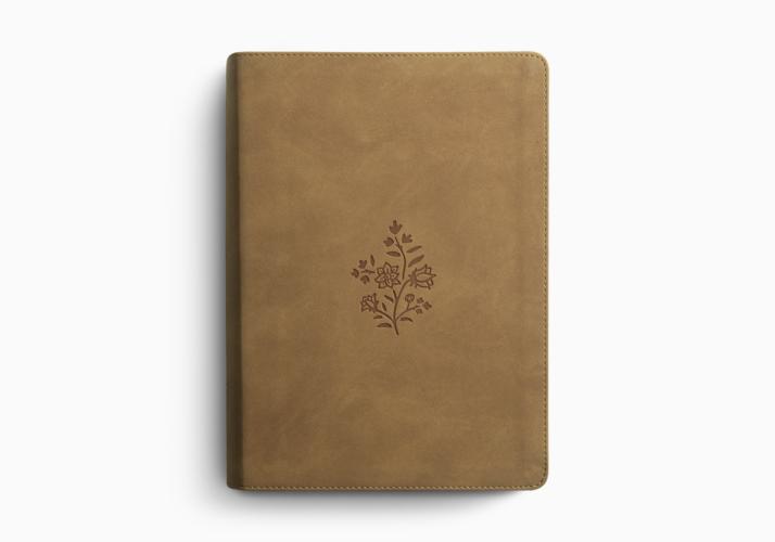 ESV Single Column Journaling Bible&reg;, Large Print