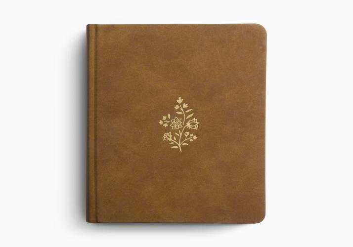 ESV Journaling Study Bible