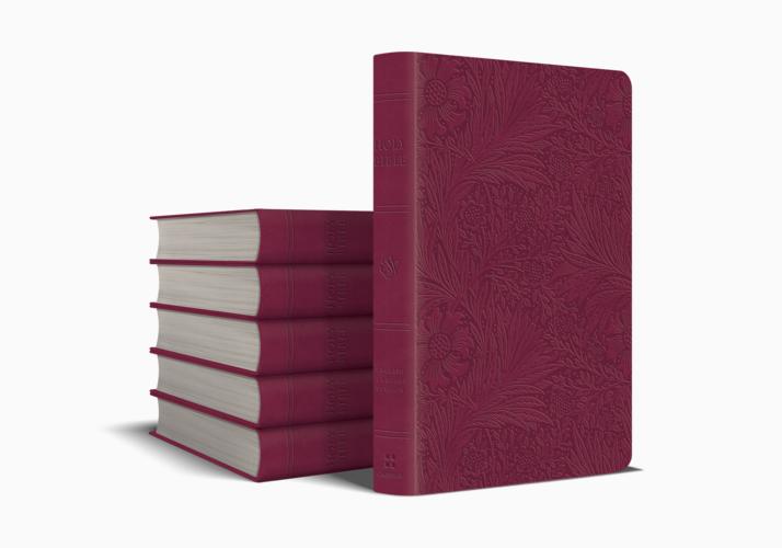 ESV Value Thinline Bible