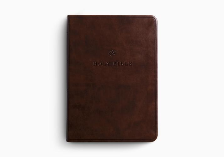ESV Value Large Print Compact Bible