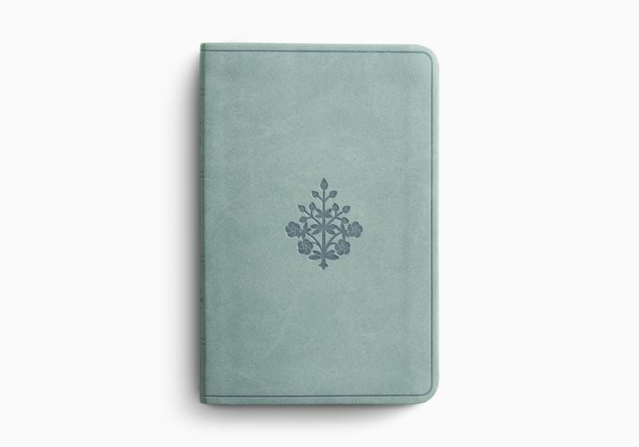 ESV Value Compact Bible