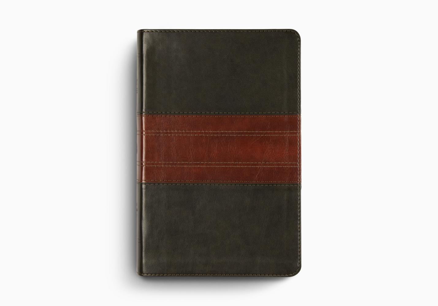 ESV Large Print Personal Size Bible, Red Letter