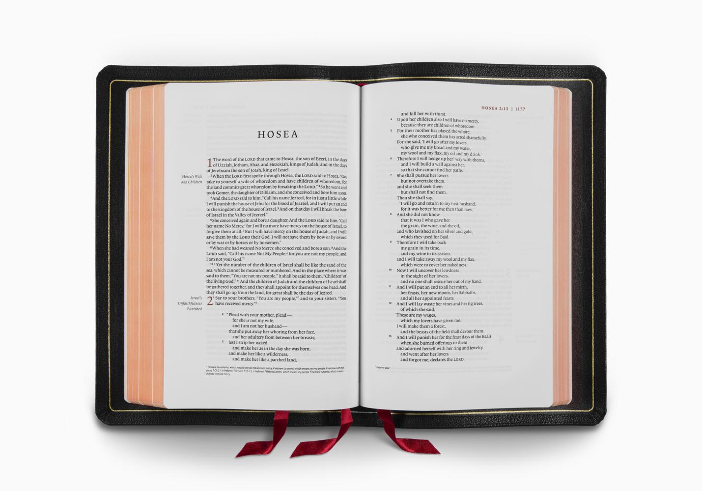 ESV Heirloom Bible, Gloria Dei: Single Column Edition