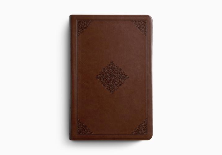 ESV Large Print Value Thinline Bible