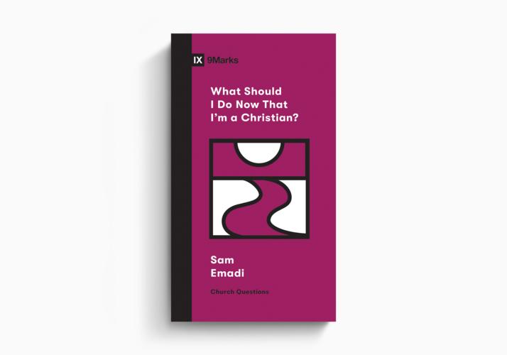 What Should I Do Now That I'm a Christian?