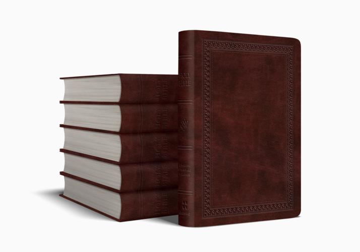 ESV Value Compact Bible
