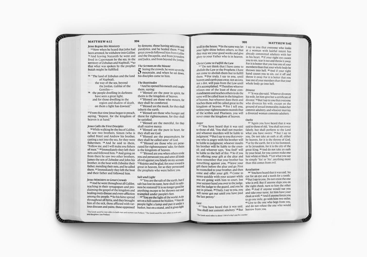 ESV Large Print Value Thinline Bible