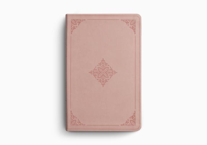 ESV Large Print Value Thinline Bible
