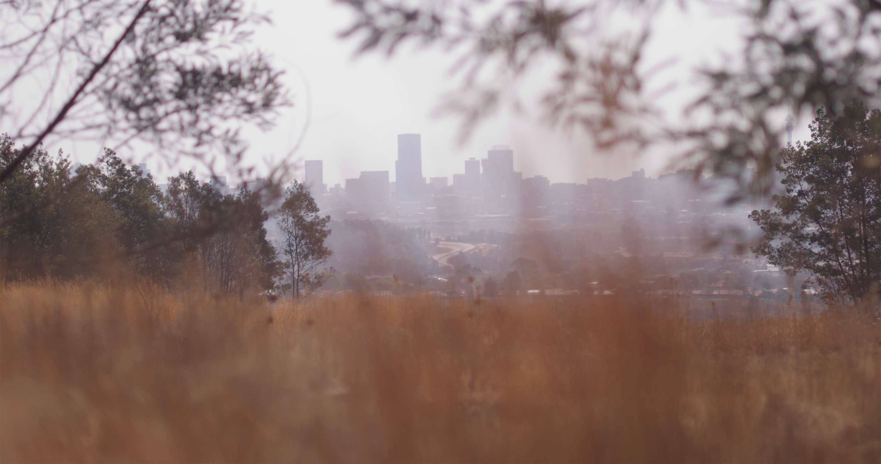 One Million Bibles Initiative: Global South